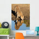 Cheetah Drinking Water with Wall Decal