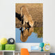 Cheetah Drinking Water with Wall Decal
