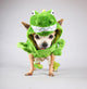 Cute Chihuahua Dressed up Wall Decal