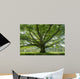 Oak 8 Wall Decal