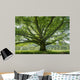 Oak 8 Wall Decal