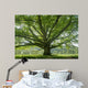 Oak 8 Wall Decal