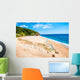 Gjipe beach Wall Mural