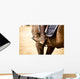 Equestrian Sports Wall Mural