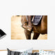 Equestrian Sports Wall Mural
