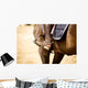 Equestrian Sports Wall Mural
