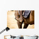 Equestrian Sports Wall Mural