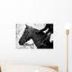 Equestrian Sports Wall Mural
