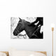Equestrian Sports Wall Mural