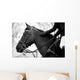 Equestrian Sports Wall Mural
