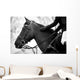 Equestrian Sports Wall Mural