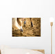 Equestrian Sports Wall Mural