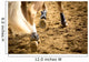 Equestrian Sports Wall Mural