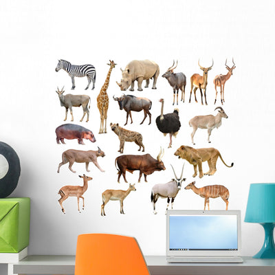 Africa Animals Wall Stickers Wall Decal shown on a wall