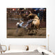 Rodeo Bull Rider Wall Decal