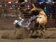 Rodeo Bull Rider Wall Decal