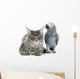 African Grey Parrot and Wall Decal