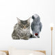 African Grey Parrot and Wall Decal