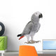 African Grey Parrot Wall Decal