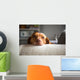 Lazy Wall Decal