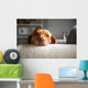 Lazy Wall Decal
