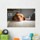 Lazy Wall Decal