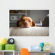 Lazy Wall Decal
