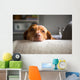 Lazy Wall Decal