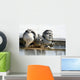 Stone Gargoyle with Funny Wall Decal