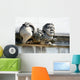 Stone Gargoyle with Funny Wall Decal
