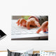 Child with Computer Wall Decal