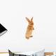 Standing Rabbit Wall Decal
