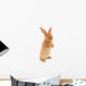Standing Rabbit Wall Decal