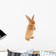 Standing Rabbit Wall Decal