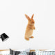 Standing Rabbit Wall Decal