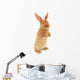 Standing Rabbit Wall Decal