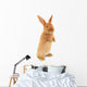 Standing Rabbit Wall Decal