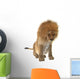 Male Lion Wall Decal