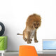 Male Lion Wall Decal
