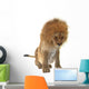 Male Lion Wall Decal