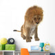 Male Lion Wall Decal