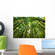Forest Wall Decal