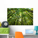 Forest Wall Decal