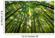 Forest Wall Decal