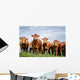 Brown Cows Wall Decal