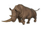 Rhinoceros Wall Decal