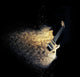 Electric Guitar Natural Wood Wall Decal