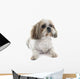Shih Tzu Wall Decal