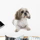 Shih Tzu Wall Decal