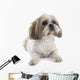 Shih Tzu Wall Decal